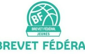 Formation Brevet Fédéral Jeunes